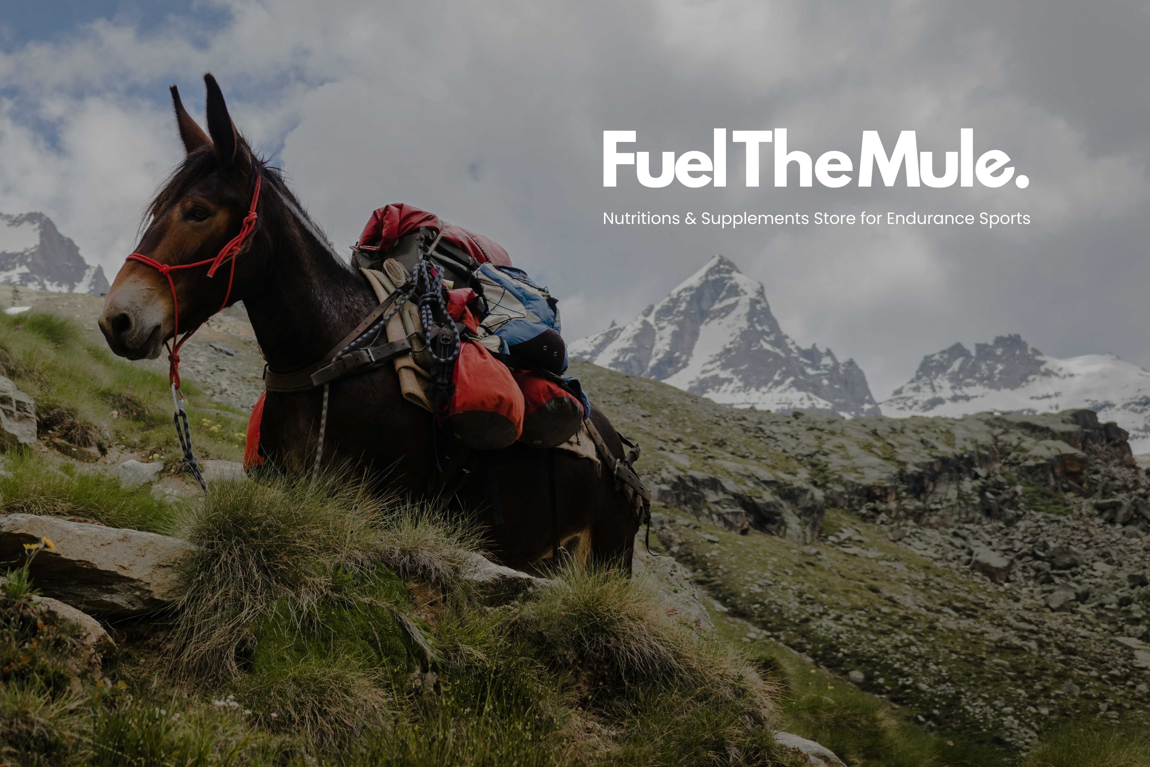 fuel the mule logo